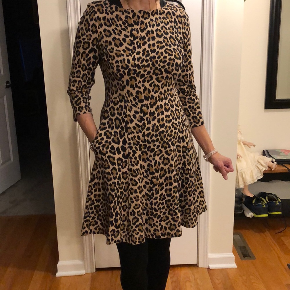 Kate spade cheetah dress 12